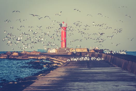 White seagulls flying against the red lighthouse