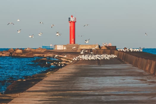 White seagulls flying against the red lighthouse