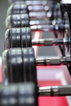Spinlock dumbbells in special rack at gym, selective focus at one of plates