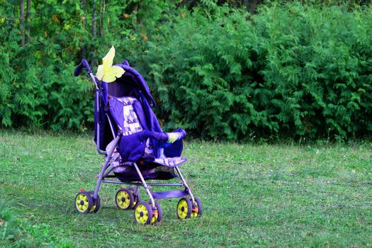 blue stroller carriage for baby in the garden
