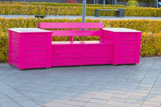 Pretty pink bench in front of rows of green park