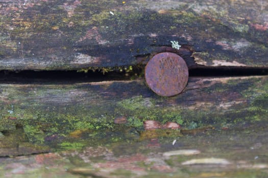 nail at old piece of wood. abandoned house