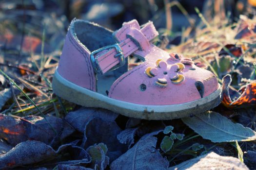 pink shoe for baby girl on ground of Autumn leaves