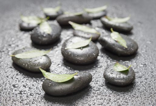 Several black basalt massage stones with green leaves on them, covered with water drops, distributed on a black background