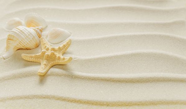 Several clams and starfishes on the background of wavy sea sand