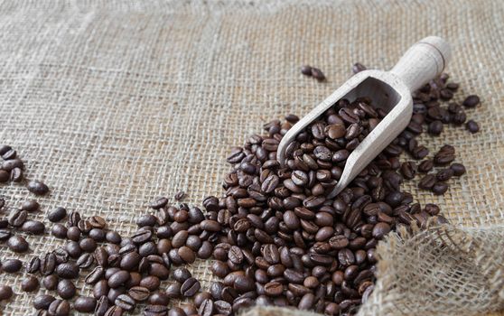 Coffee beans spill out of a wooden scoop on the background of rough burlap