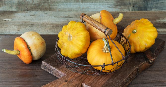 Several orange decorative pumpkins and patissons in a mesh metal basket on a dark wooden background