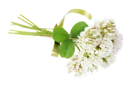 Ssymbol of the national holiday of the Irish - St Patrick's Day: bouquet of white clover flowers, tied with green ribbon, isolated on white background