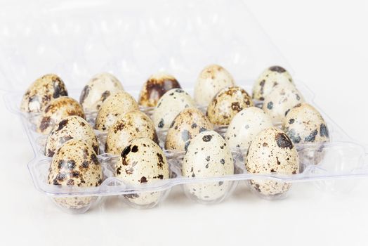 Spotted quail eggs in plastic container closeup on a white background