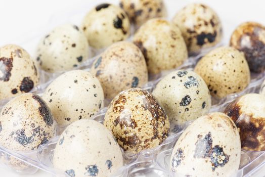 Spotted quail eggs in plastic container closeup on a white background