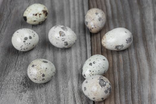 Several spotted quail eggs on the background of the old wooden boards