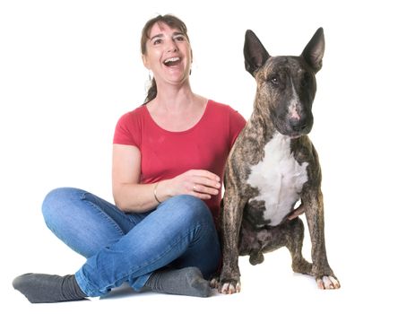 woman bull terrier in front of white background