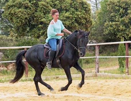 riding girl and her stallion in a training of dressage