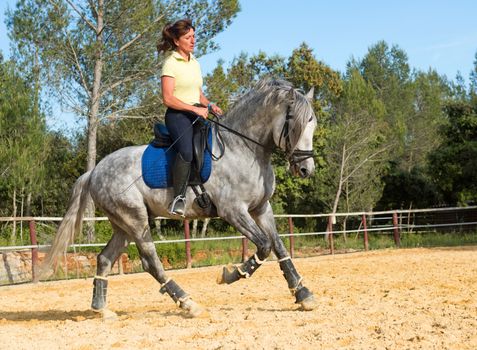 training of a riding girl and her gray stallion