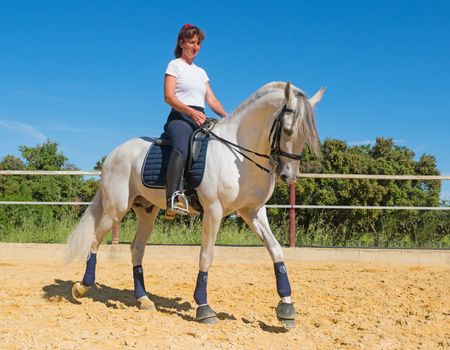 trianing of dressage for a riding girl and stallion 