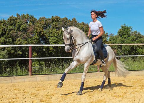 trianing of dressage for a riding girl and stallion 