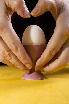 Boiled egg in the holder and the hands of the cook