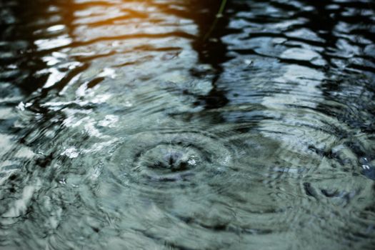 Water surface with rain reflection at sunset.