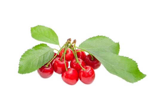 Several ripe sweet cherries with the stalks and leaves on a light background
