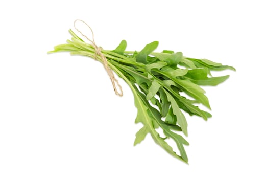 Bundle of the fresh green leaves of the arugula tied with twine on a light background
