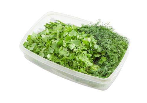 Bundles of the fresh dill and cilantro in transparent plastic container on a light background
