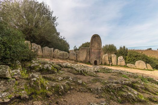 Giants grave of Coddu Vecchiu - Arzachena