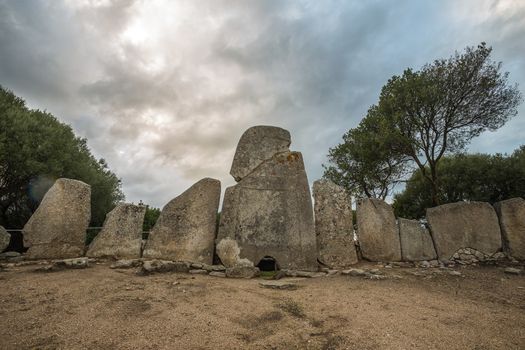 Giants grave of Li Lolghi - Arzachena