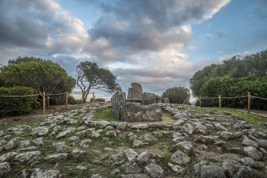 Giants grave of Li Lolghi - Arzachena