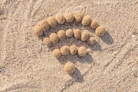 Wifi sign created with dried algae ball on sand beach