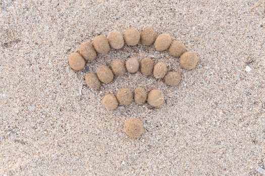 Wifi sign created with dried algae ball on sand beach