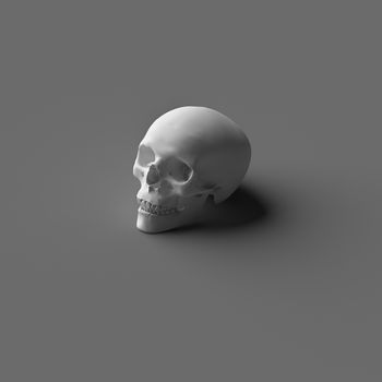 SINGLE 3D RENDERING HUMAN HEAD SKULL ON PLAIN GREY BACKGROUND