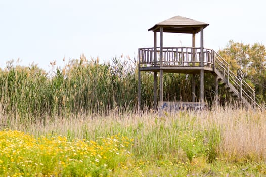 Two-level wooden observatory for bird watching in a marshy area.