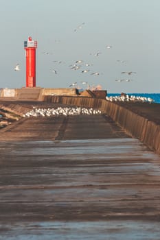 White seagulls flying against the red lighthouse