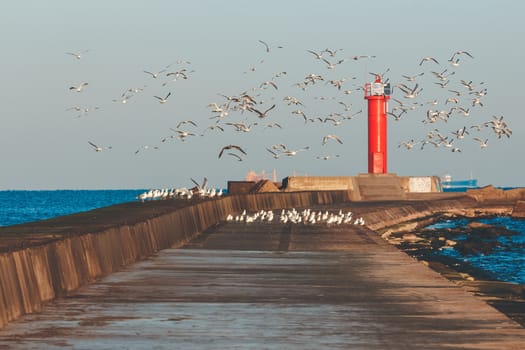 White seagulls flying against the red lighthouse