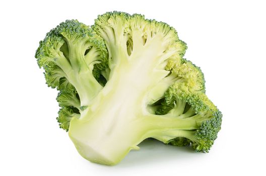 Fresh broccoli isolated on a white background