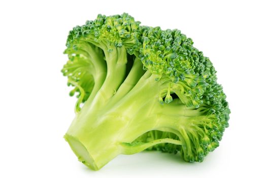 Fresh broccoli isolated on a white background