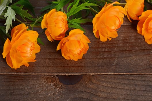 Beautiful orange flowers on a wooden background