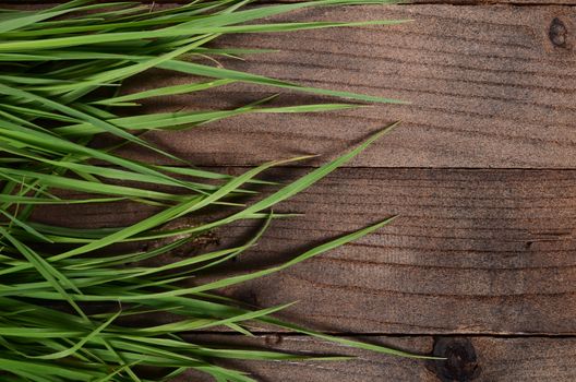 The green grass on a wooden background