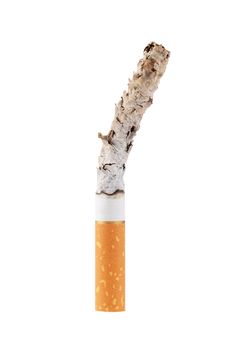 The cigarette isolated on a white background