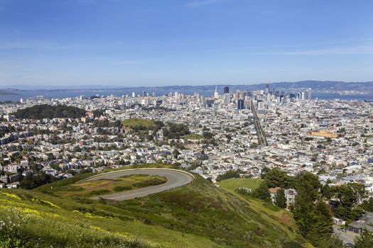 A view of San Francisco's skyline from Twin Peaks. This is a morning image taken on a Spring day when the wild flowers were in bloom.