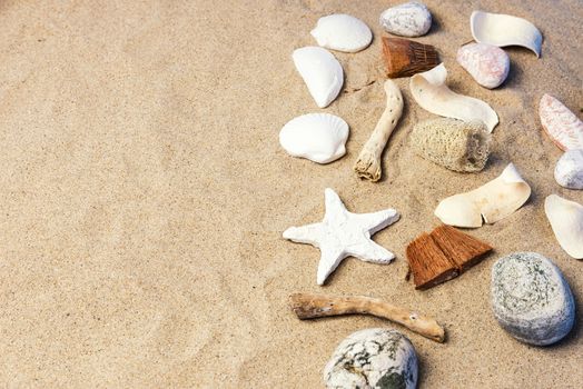 Composition of Seashells on sand with copy space.