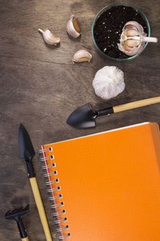Notebook garlic and garden tools on a wooden table