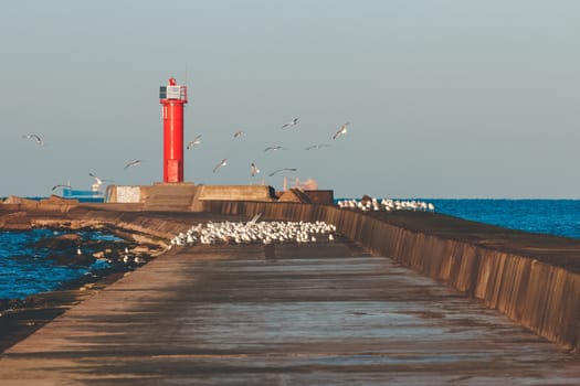 White seagulls flying against the red lighthouse