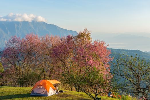 Camping tent in campground on top of mountain with sunrise at Doi Luang Chiang Dao, ChiangMai Thailand.