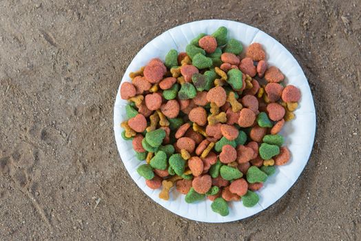 Dog food in dish on the ground.