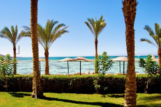 Holiday in Africa. Beach in Egypt near to hotel rooms. Palms, water.