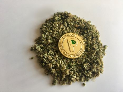 Digital currency physical gold peercoin coin with leaf on the marijuana.