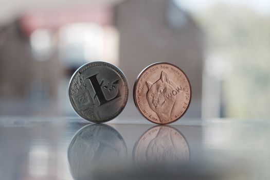 Digital currency physical silver litecoin and brass dogecoin money near the window.