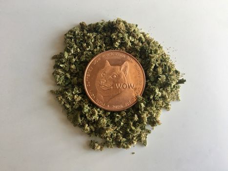Digital currency physical brass doge coin on the weed.