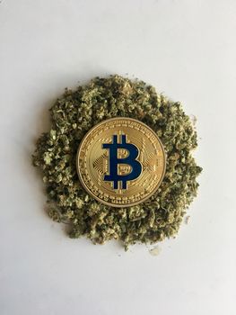 Digital currency physical gold bitcoin coin on dry weed